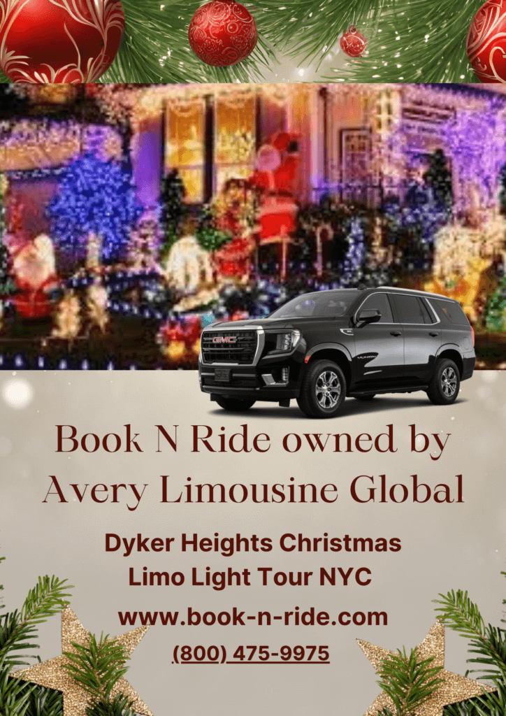 Dyker Heights Christmas Limo Light Tour NYC